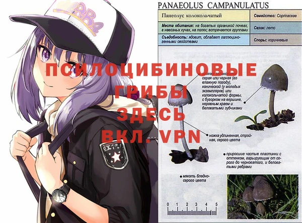 марки nbome Корсаков