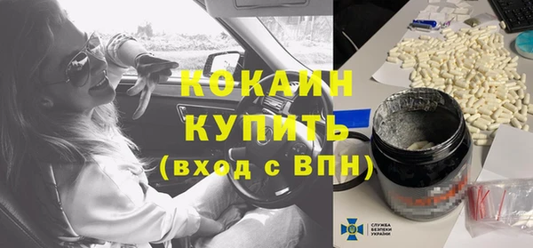 гашик Коряжма